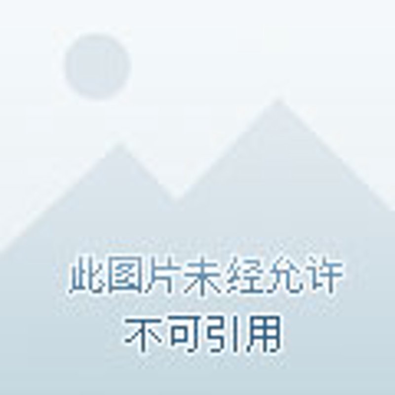 婚礼中的优雅礼仪:一场美好记忆的承载